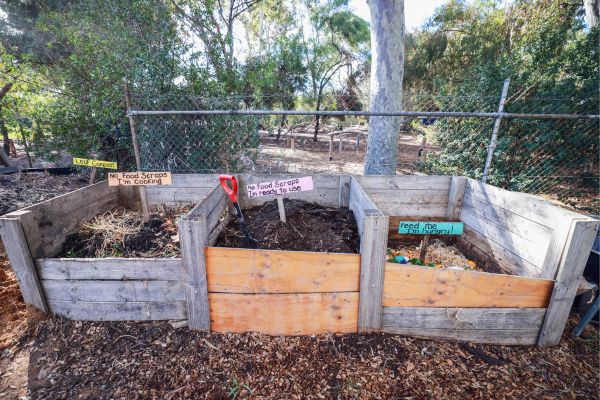 Compost at Kilkenny Primary