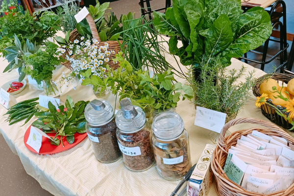 Market stall