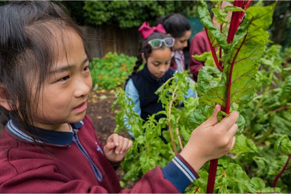 Child holding chard