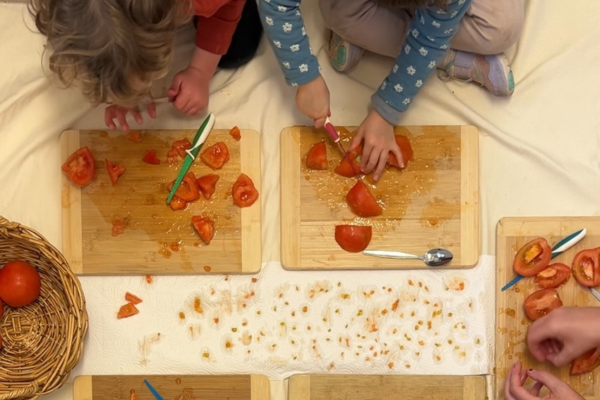 Saving tomato seeds