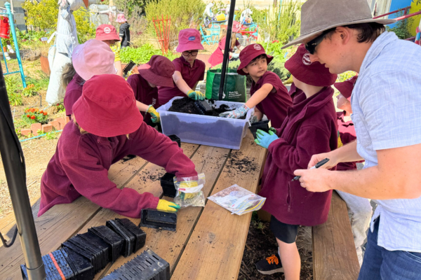 Wendouree Primary School, VIC