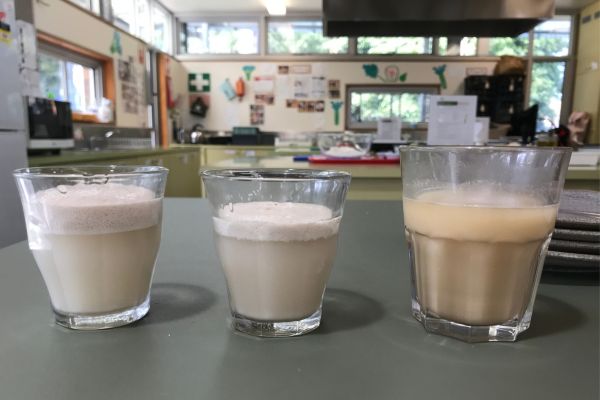 Yeast experiment