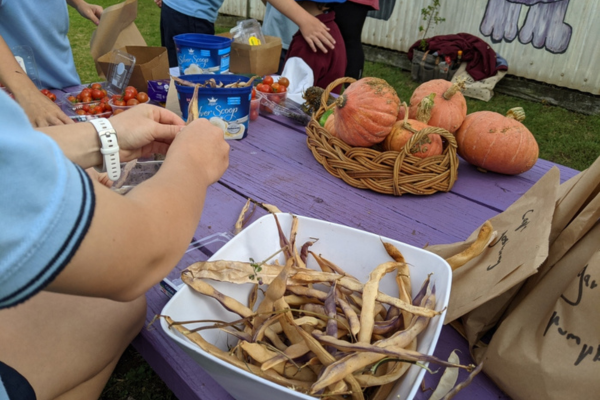 Seed saving