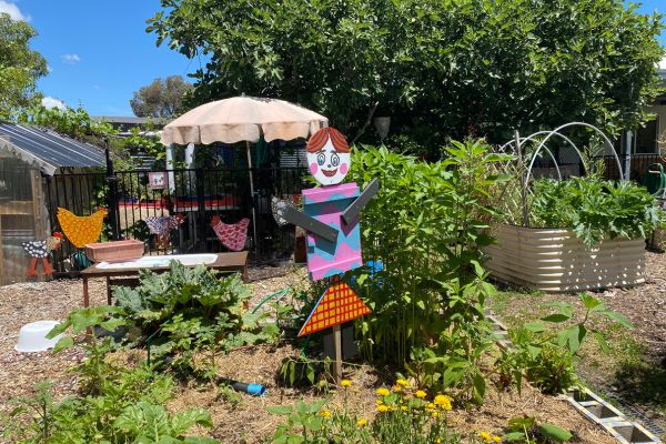 Waratah Special Developmental School's gardens