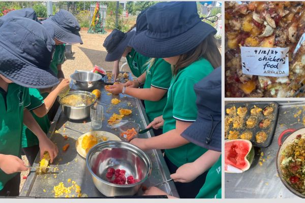 St Joseph's Catholic Primary School Werribee