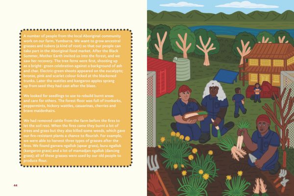 A sneak peak at Caring for Country