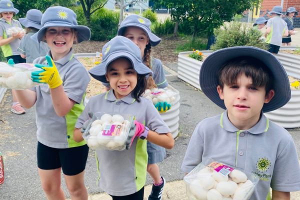 Student from Ashley Park Primary School holding mushrooms