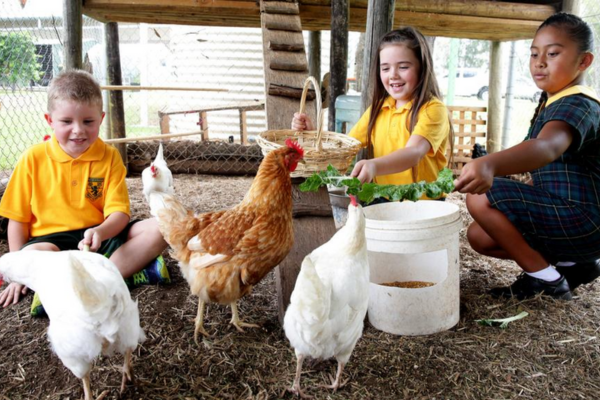 Students at Herbersham Public School 