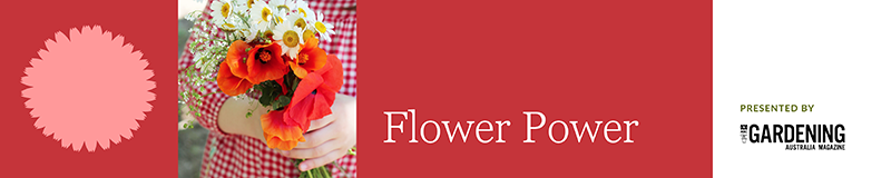 Flower Power award