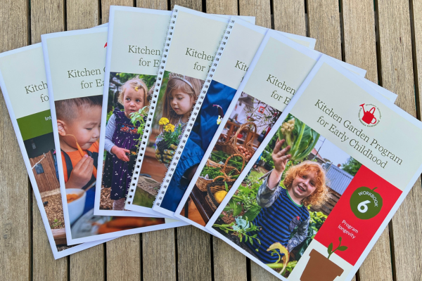 New early childhood workbooks