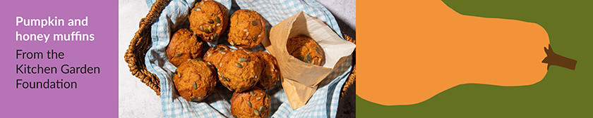 Pumpkin honey muffins