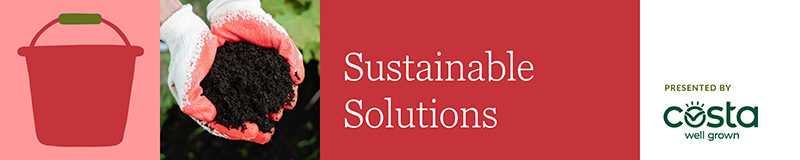 Sustainable Solutions award