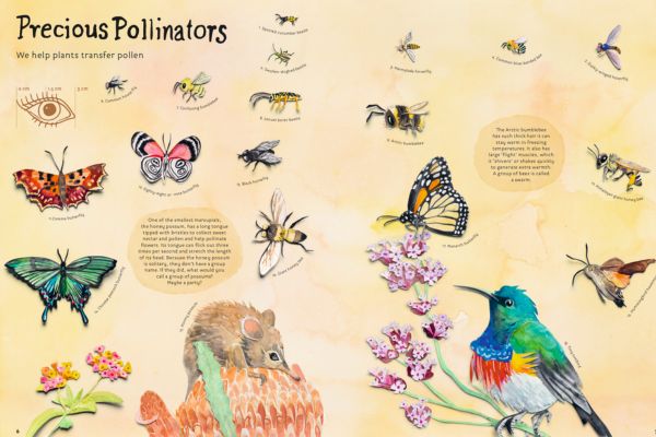 Pages from Wonders Under the Sun by Tai Snaith