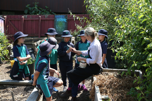 Beyond Blue rank the Kitchen Garden Program