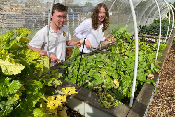 National Kitchen Garden Awards Marist Sion