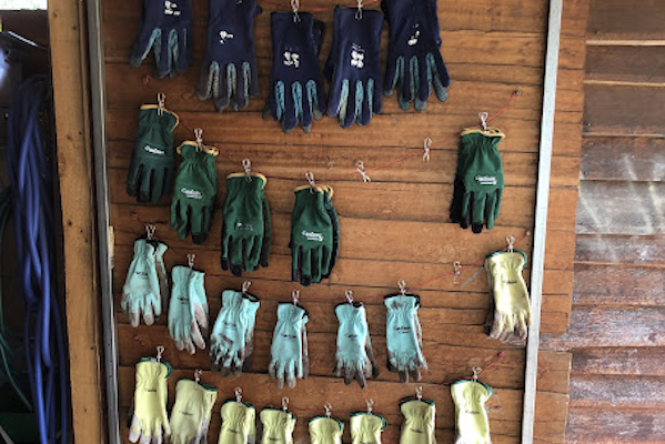 Rows of pegged gloves on wooden door